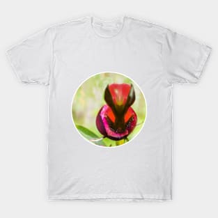 The essence of the peony T-Shirt